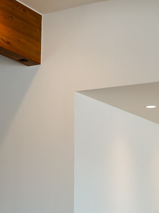 Tokube udon in Chikugo